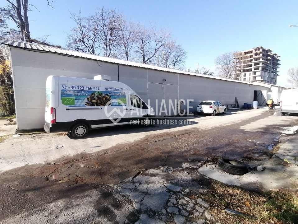 DELFINARIU (COD10) - Spatiu productie/Hala/ Depozit de inchiriat - Poză 1