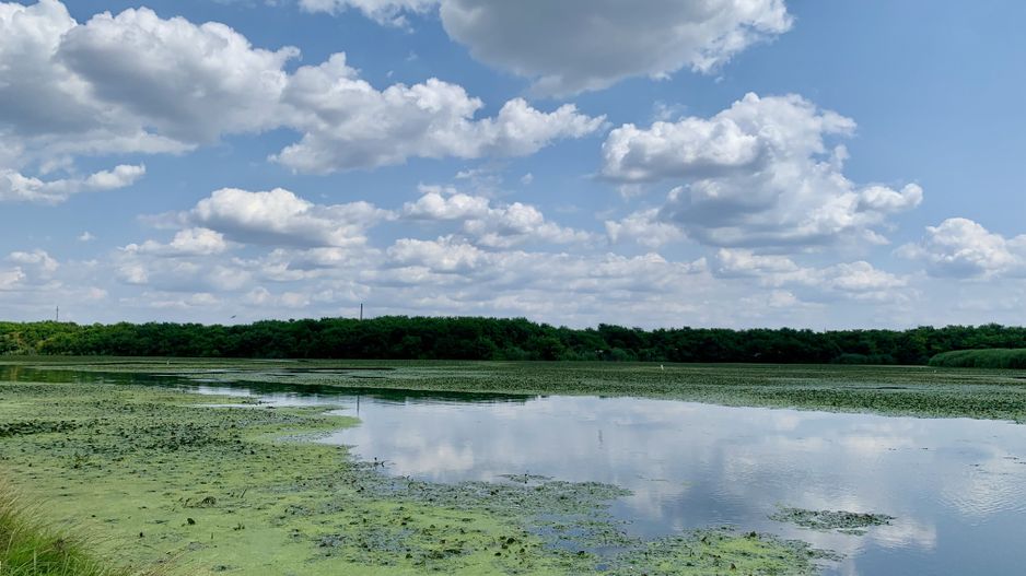 Teren Crevedia 45000 mp - Poză 10