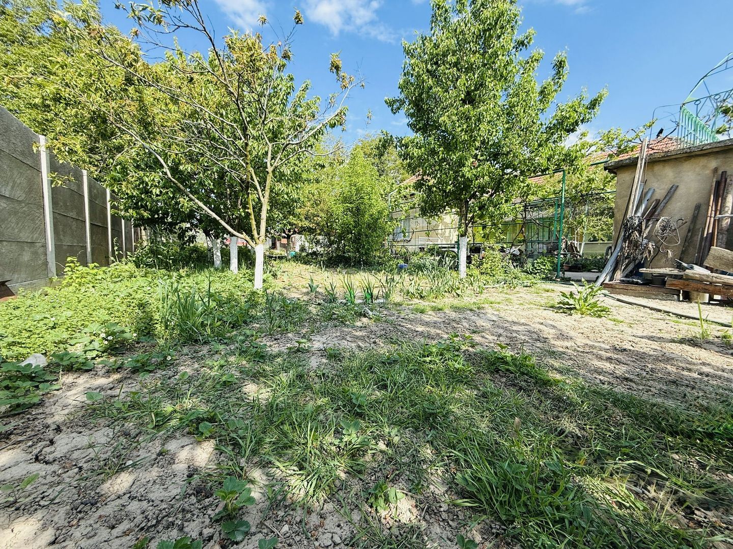 Ciarda Roșie / Buziașului | Front 27 ml | Teren 1464 mp | Utilități - Poză 5