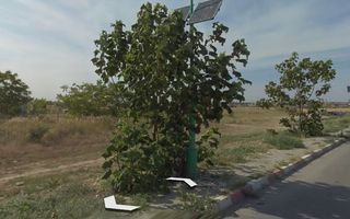 NAVODARI-LEGMAS Teren 900 mp ideal investitie! - Poză 4