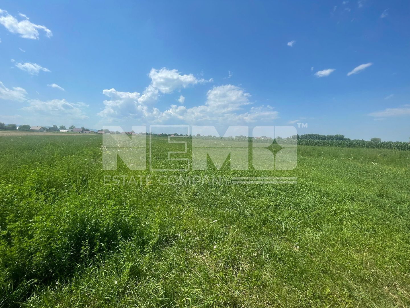 Teren intravilan | 3770 MP | Suceava, Frătăuții Vechi - Poză 2