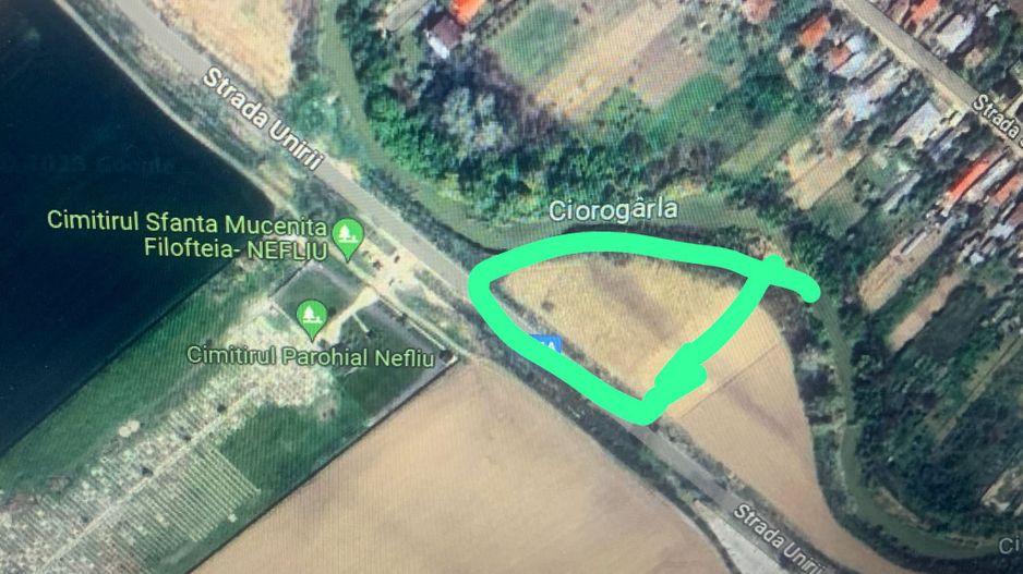 Teren intravilan situat in Magurele -Varteju 10.000 mp 35 euro - Poză 3