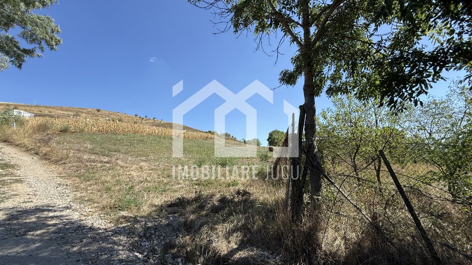 Teren Parțial Intravilan | 11.278 mp | Front la 2 Străzi | Gădălin - Poză 2