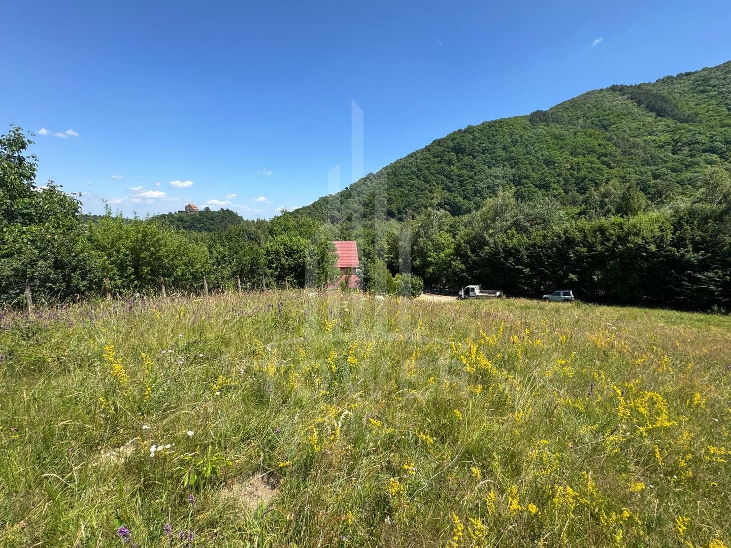 Teren intravilan 4600mp - 55 EUR/mp - EXCLUSIVITATE CISNADIOARA - COMISION 0% - Poză 8