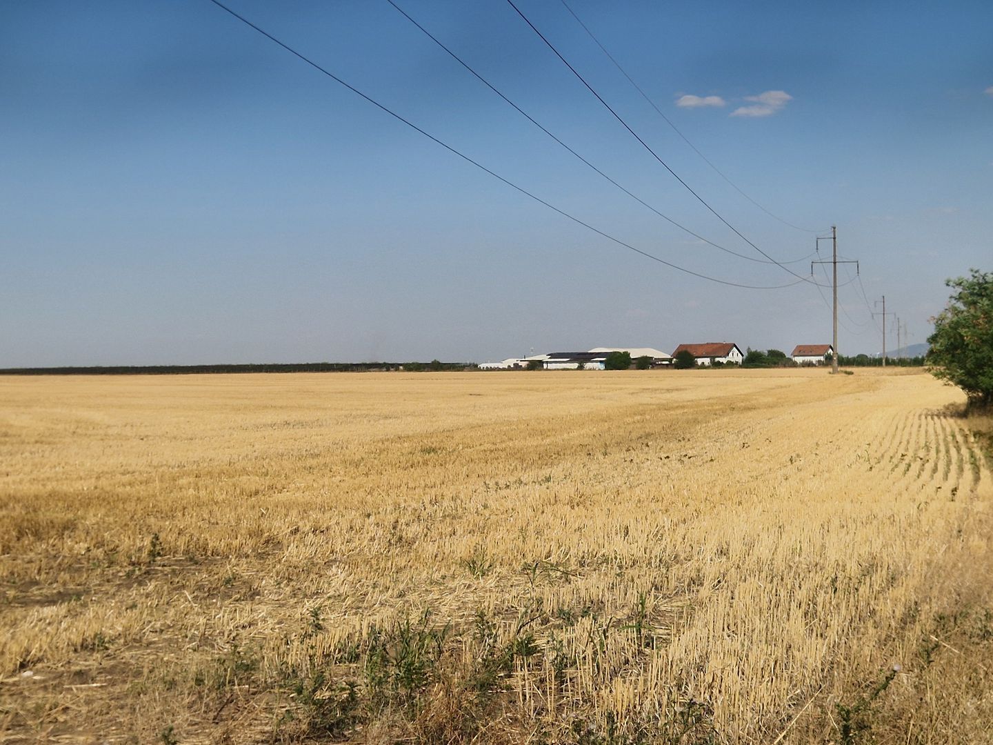 Teren extravilan 7.915Mp, între Vladimirescu-Horia - Poză 2