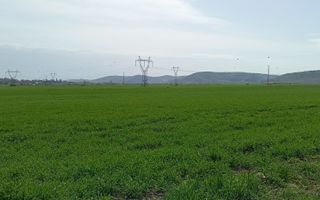 ‼️OPORTUNITATE DE INVESTIȚIE‼️ Teren Zona Ungheni | 44376 mp - Poză 5