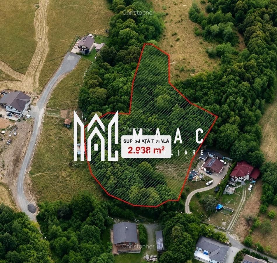 Teren intravilan 2.938 mp | Tocile, Sadu | pârâu natural - Poză 1