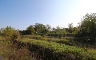 Teren 5963 mp deschidere lac Grivita 42 m cu deschidere la strazi 77 m - Poză 11