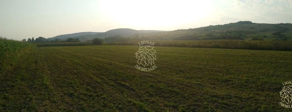 Teren 5500 mp-oportunitate investitie-pretabil cabana-Jelna - Poză 3