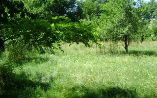 Teren de vanzare in Cornu 1585 mp - Negociabil - Poză 3