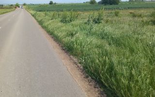 Vânzare terenuri in comuna Berceni , Vidra Ilfov - Poză 2