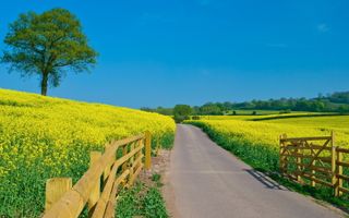 Apartament cu 3 camere de vânzare în zona Balada - Poză 15