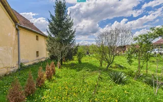 Casă individuală la Beregsău Mare, 2890 mp teren - Poză 28