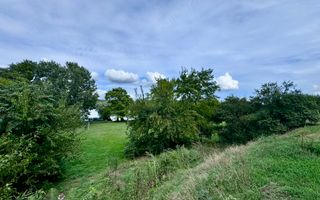 Hotel 20 camere Delta Dunarii 50 m deschidere teren 6000 mp acces auto - Poză 48