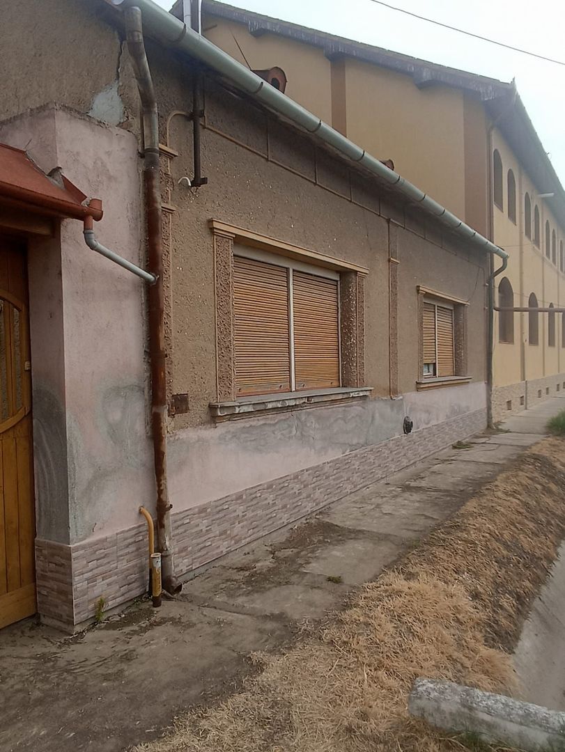 Casă de vânzare cu teren generos în Valea lui Mihai - Poză 1