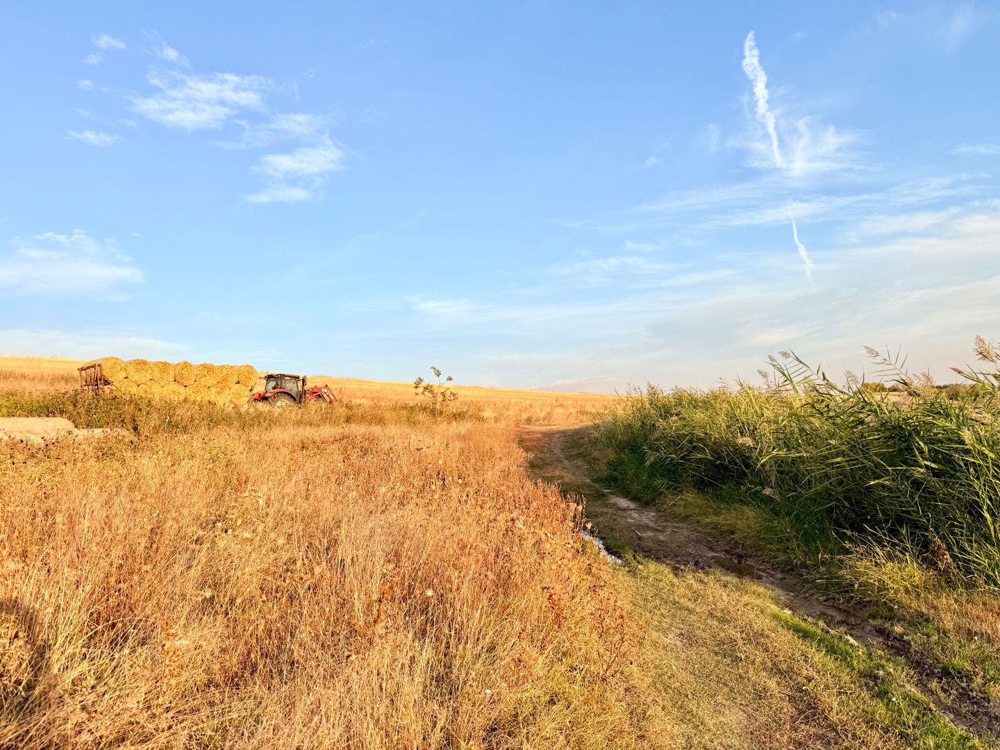 Teren Daia 75000 mp cu balta 30000 mp izvoare - Poză 12