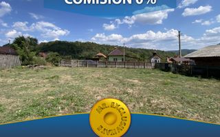 Teren 4000 mp intravilan loc. Aninoasa, jud Arges. Comision 0% - Poză 6
