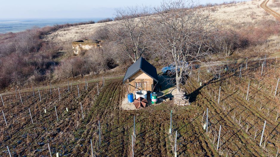 Vita-de-vie Premium  teren de 6800 mp în Covăsinț - Poză 13