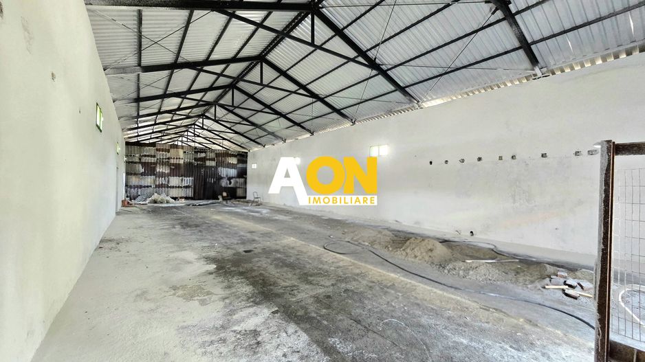 Spațiu Industrial de Închiriat, 280mp, Zona Carolina Mall - Poză 4
