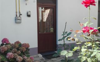 Apartament 2 camere zona Iosefin - curte comuna - Poză 11