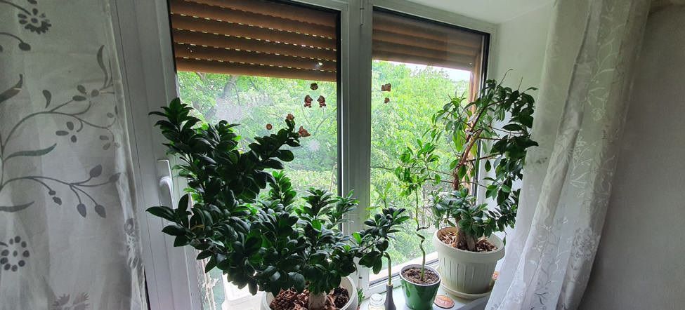 Apartament modern 2 CAMERE | HANUL DRUMETULUI | DRUMUL TABEREI - Poză 8