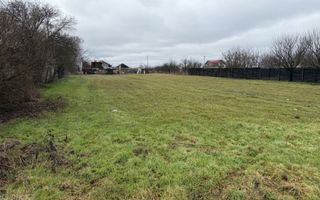 Teren de Vanzare Gradistea Sitaru - Poză 2