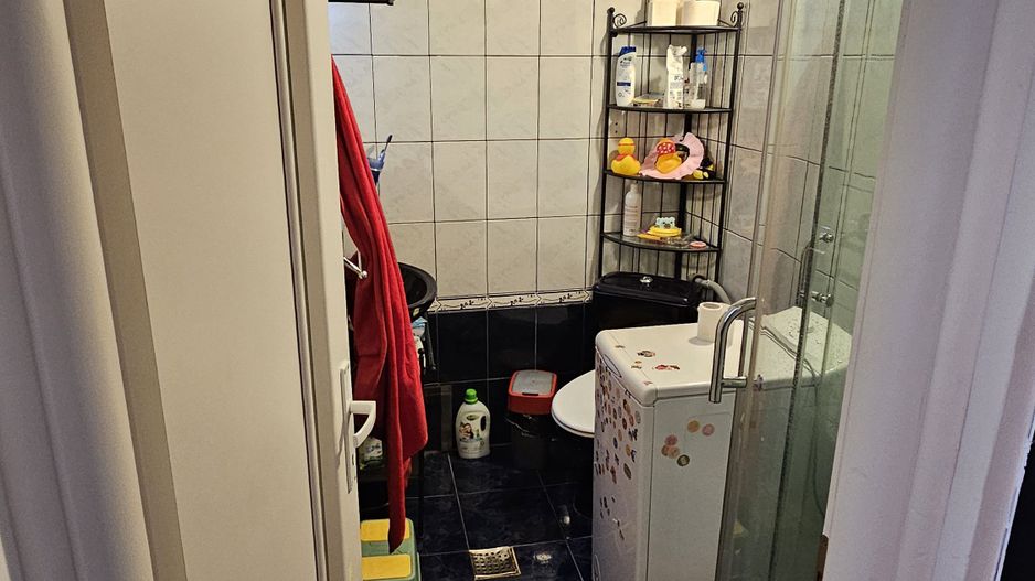 Apartament Vasile Lascar - Poză 3