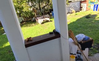 De vânzare casă zona Sens - Poză 9