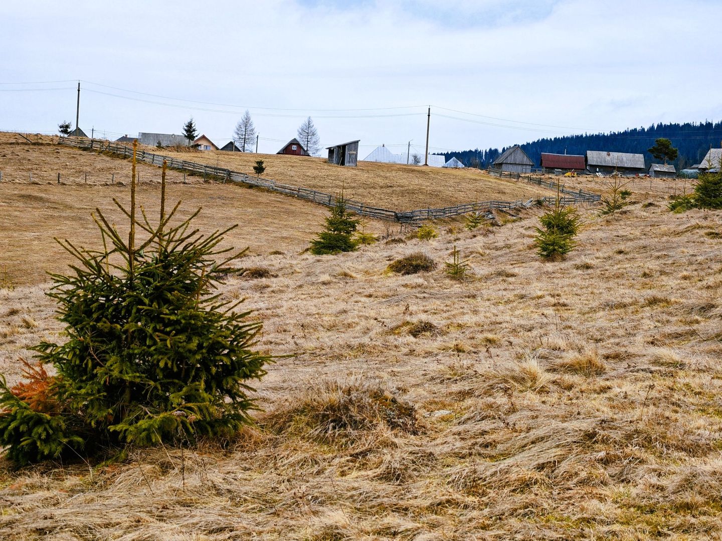 3149 MP in Statiunea Turistica Montana, Belis - Cluj, VEDERE LA LAC - Poză 5