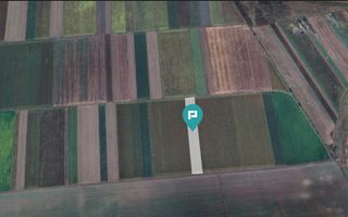 Teren extravilan de 14.500 mp în Caporal Alexa - Poză 4