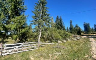 Teren Intravilan | Dealul Negru | Investiție | 1500 mp - Poză 1