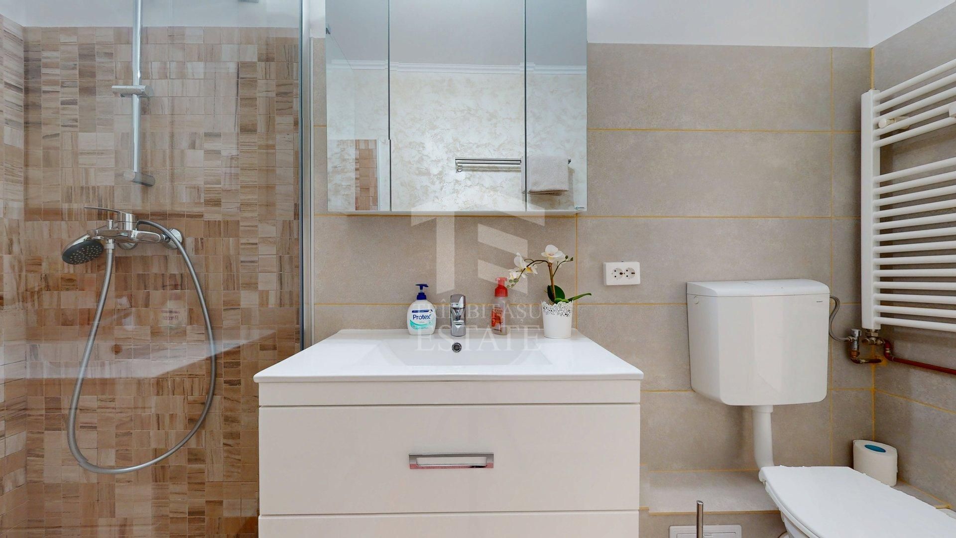 Apartament 2 camere Lacul Tei - Tei - Poză 16