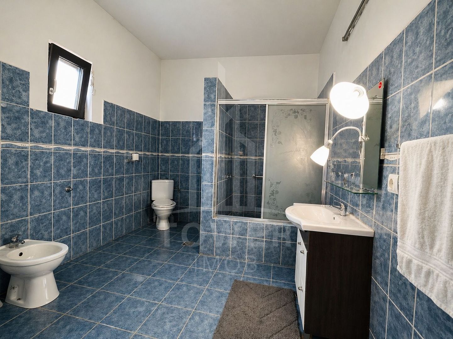 Casă pe un nivel -Sura Mare - Poză 8