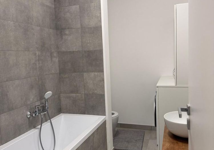 Inchiriez apartament 1 camera -zona Torontalului - Poză 3