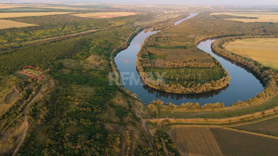 Teren agricol intravilan, 49 ari pe malul Nistrului, Doroțcaia - Poză 3
