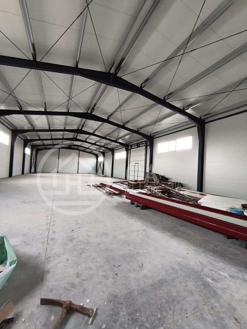 Hala de inchiriat, situata la intrare in Livada, Bihor - Poză 7