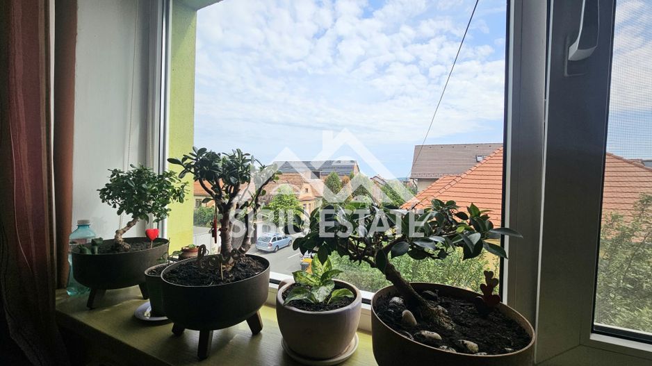 Casa individuala Sibiu central, teren mare - Poză 10
