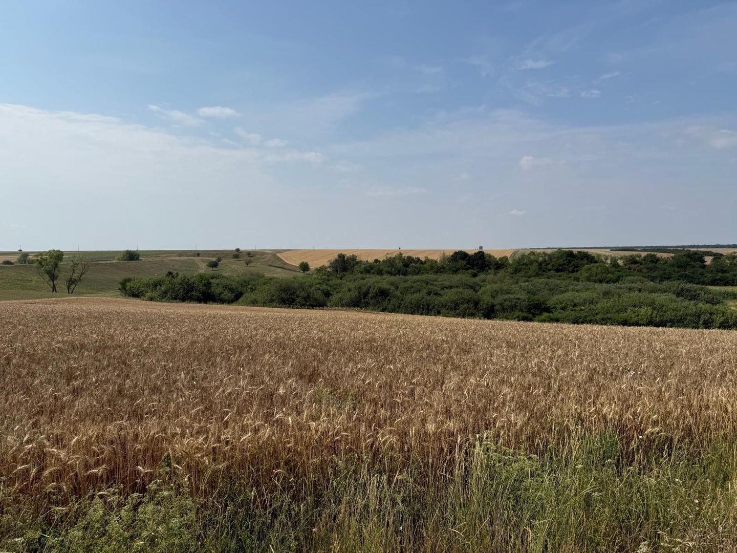 Teren intravilan Miersig, vedere la lac. 12,5 E/mp neg. Comision 0 - Poză 11