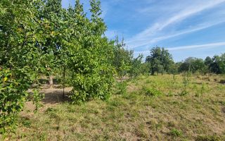 Teren 2000 mp de vânzare – Comana, deschidere la lac, aproape de Parcu - Poză 9