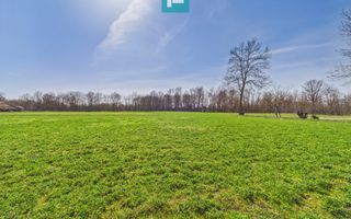 Casă cu teren generos de 6.000 m² - Poză 16