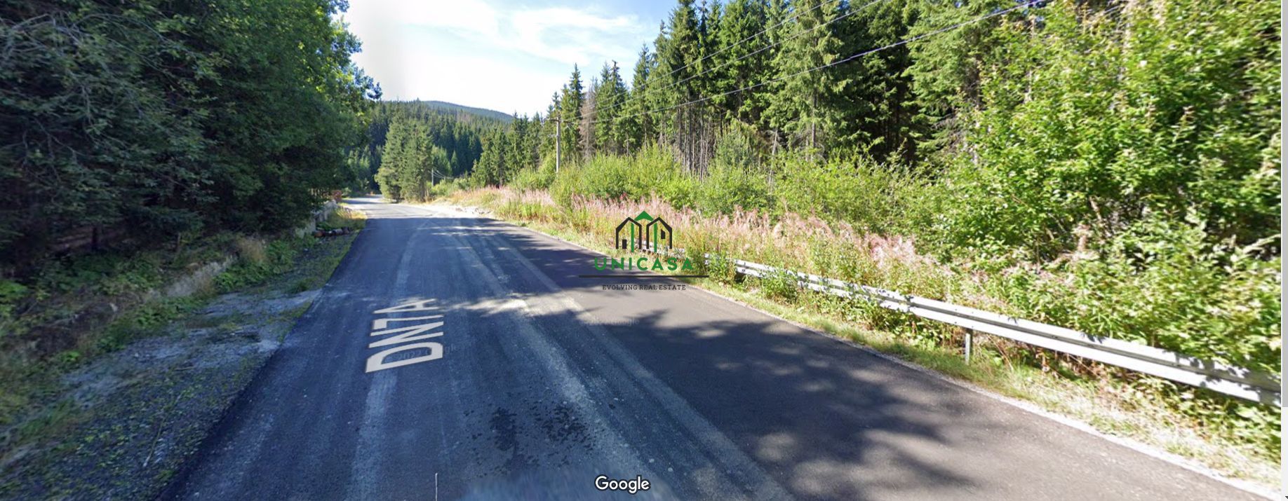 Teren /Obarsia Lotrului /DN 7A - Poză 1