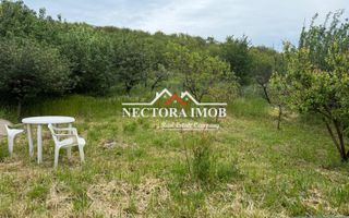 NECTORA IMOB-Casa 2 camere,Zona Gheorghe Doja, Teren 436 mp,utilat NOU - Poză 12