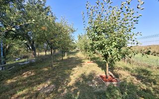 De vânzare casă în Orlat, cu teren generos de 2200 mp și panoramă deosebită! - Poză 18