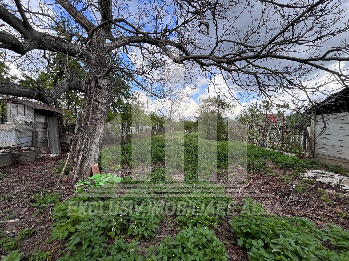 Casa de vanzare Barabant Alba Iulia - Poză 5