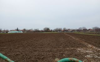 Casa Individuala Suprafete Generoase, Teren Mare, La Rosu - Poză 6