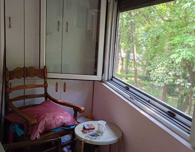 Alexandru Obregia - Poză 1