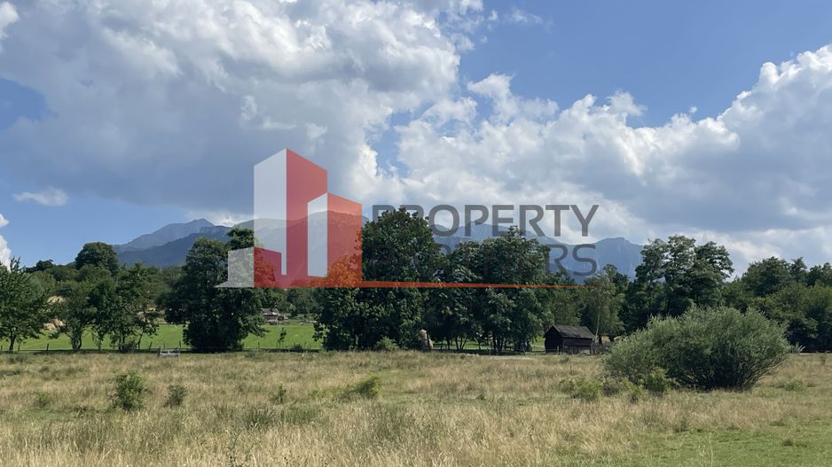 Teren de vanzare in  Tohanu Nou-Sohodol 6200 mp - Poză 1