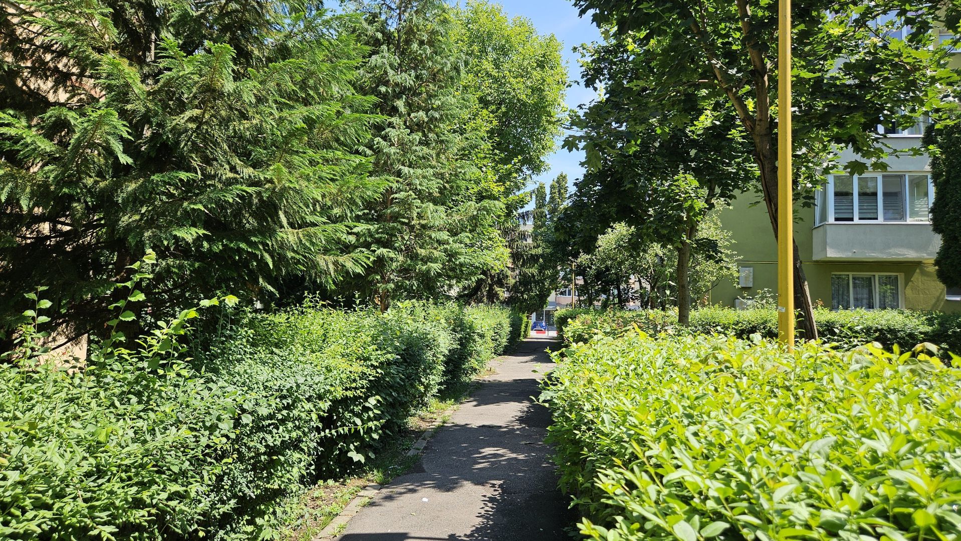 Garsonieră decomandată, etaj 2, balcon, bloc izolat – Astra, Str. Uranus - Poză 9