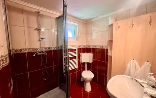 Proprietate deosebita de vanzare – Voinesița, Comuna Voineasa - Poză 15
