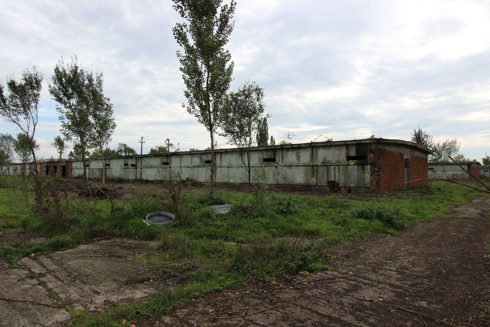 Vanzare hale Mosnita Noua-fosta Ferma 7 - Poză 41